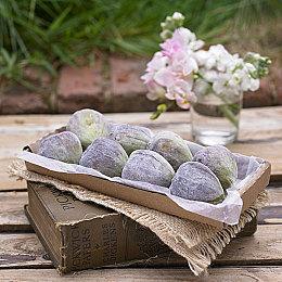 动作派对游戏《Gnaughty Gnomes》Steam页面开放 发行日期待定